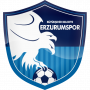 Erzurumspor FC
