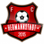 Hermannstadt FC