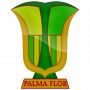 Palmaflor FC
