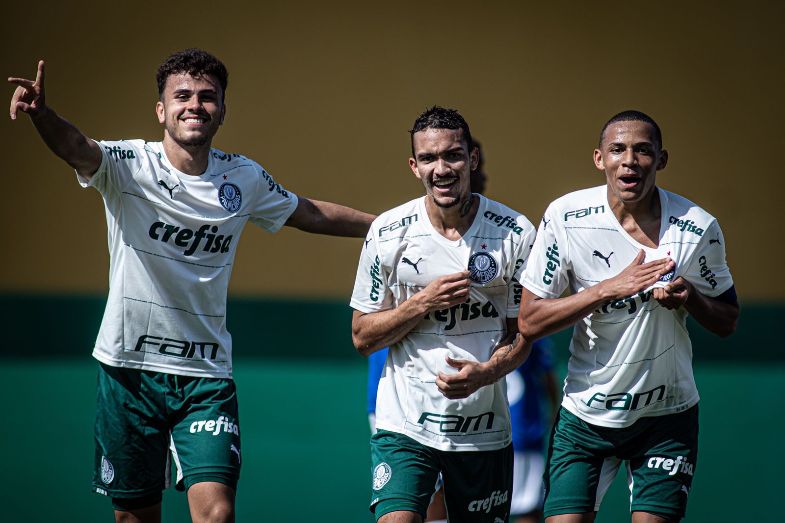 Palmeiras recebe a A.A Flamengo