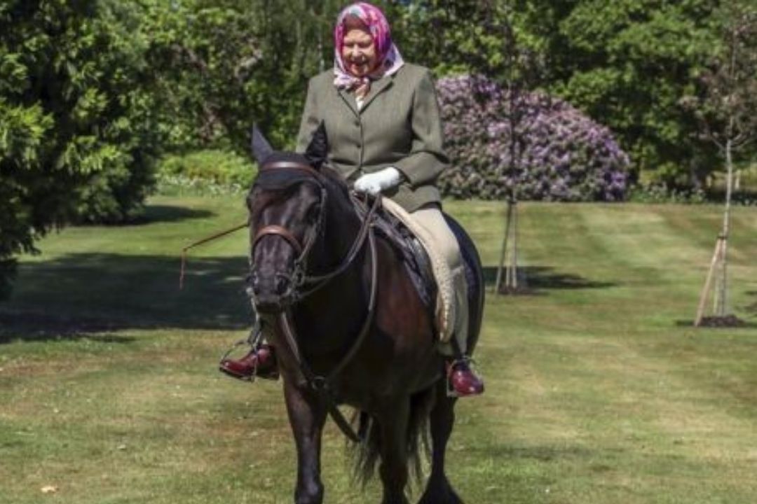 Rainha Elizabeth era apaixonada por cavalos.