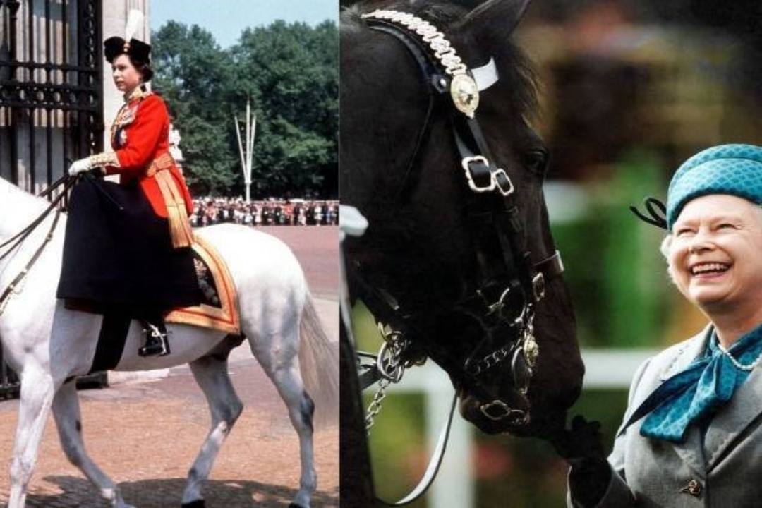 Rainha Elizabeth e a paixão por cavalos - Imagem: Reprodução