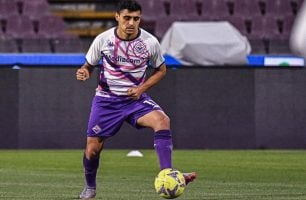 Fiorentina busca vitória