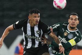 Palmeiras encara o Botafogo nas oitavas - Foto: Cesar Greco/Palmeiras